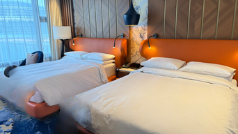 フォレストタワービジネスデラックス・ダブルクイーンの写真